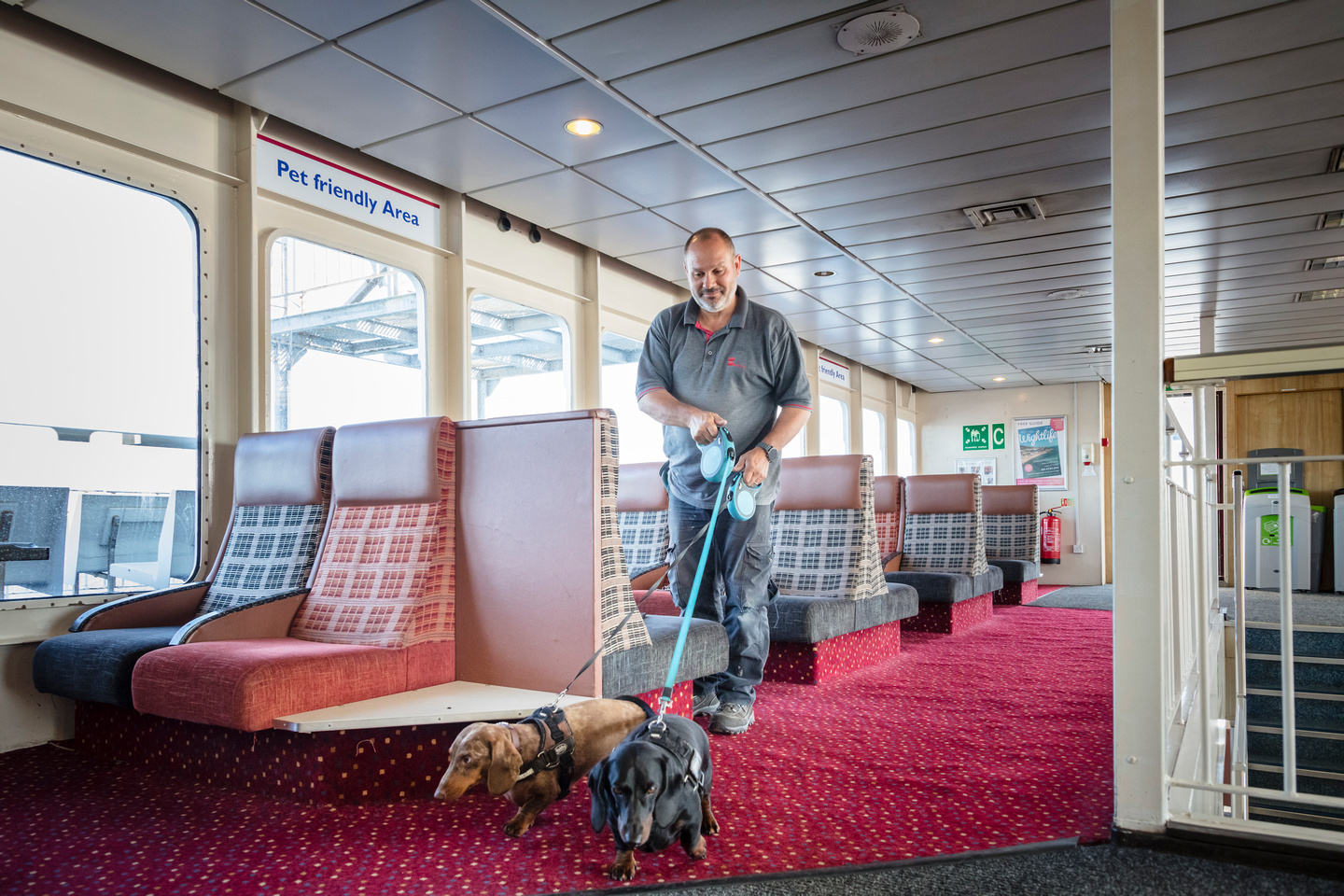 ferry travel with dogs