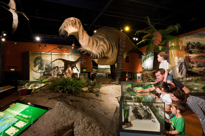 Inside Dinosaur Isle Museum