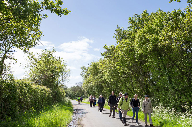 Walkers walking a countryside path, the Tennyson Trail on the Isle of Wight