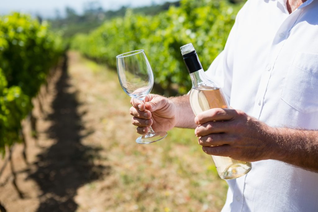 A man holding a wine bottle and wine glass with a vineyard in the background