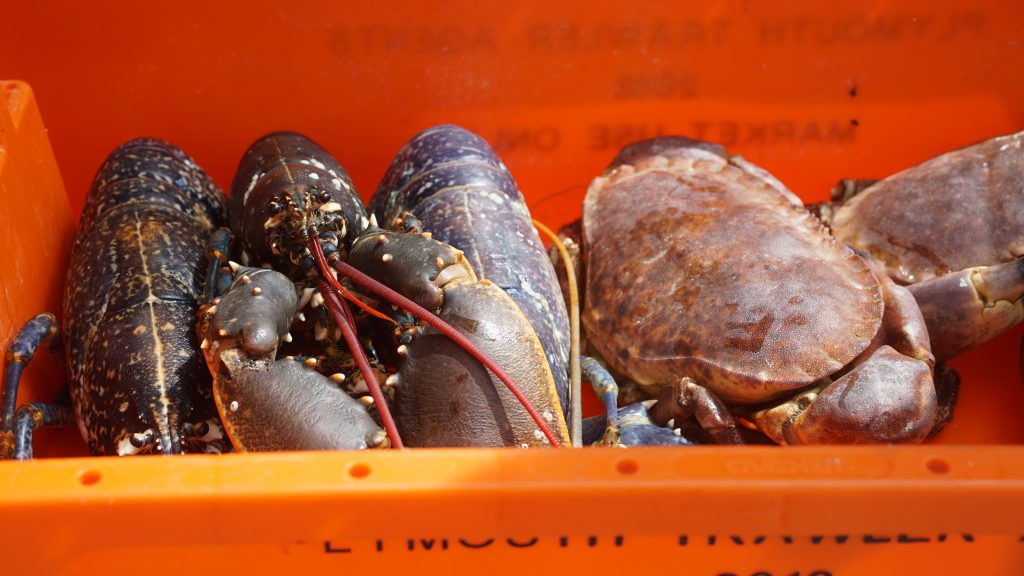 Isle of Wight crabs - ingredients for James Tanner's pizza recipe