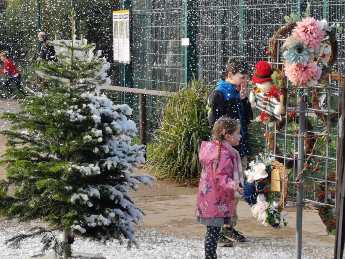 Christmas at the Wildheart Animal Sanctuary, Isle of Wight