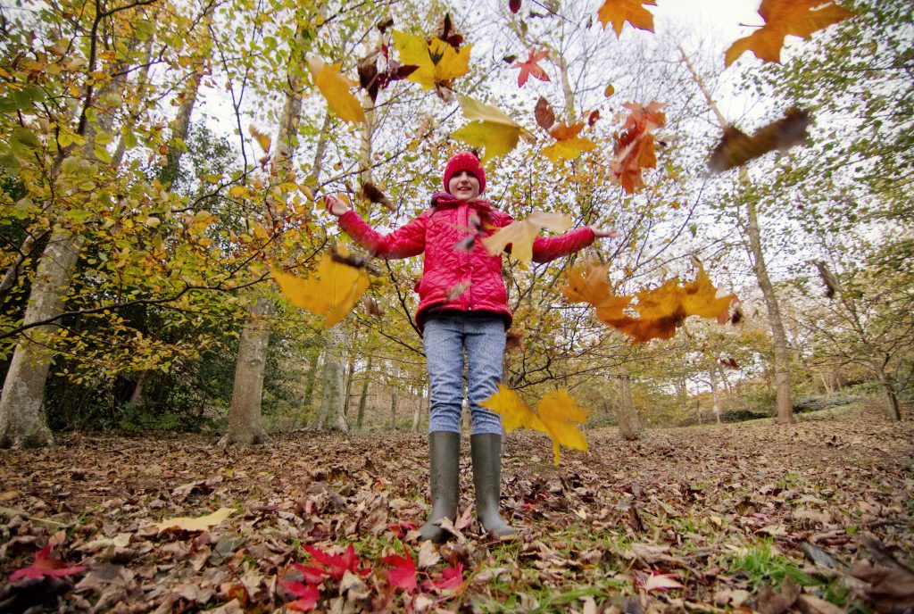 A person in a red coat and hat throwing autumn leaves in the air in a forest of the Isle of Wight