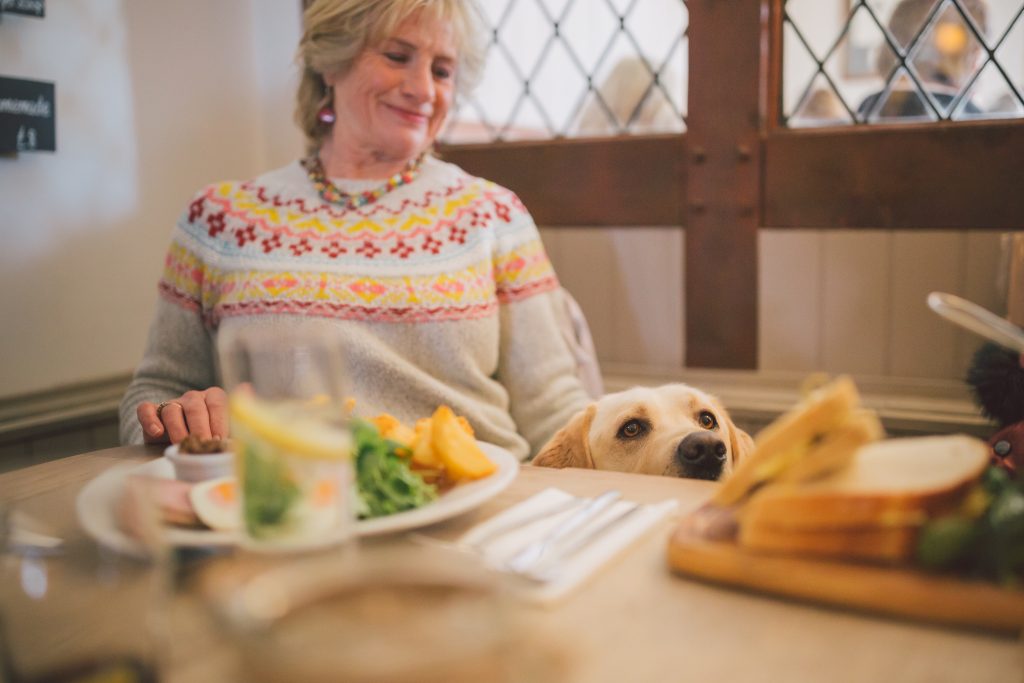 A woman wearing a jumper at a pub with a plate of food in front of her with a dog looking at the food