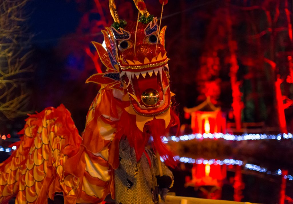 A Chinese dragon puppet in the woods at Robin Hill, Isle of Wight