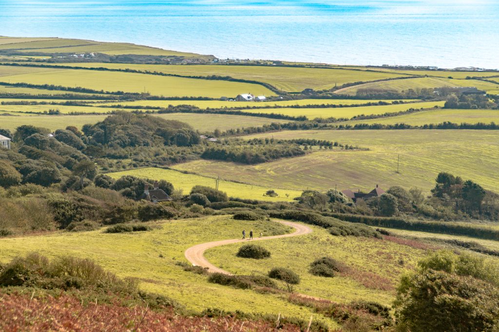 A countryside scene in spring on the Isle of Wight