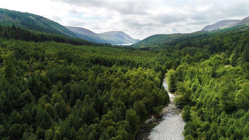 Aerial view of Wild Ennerdale in Cumbria