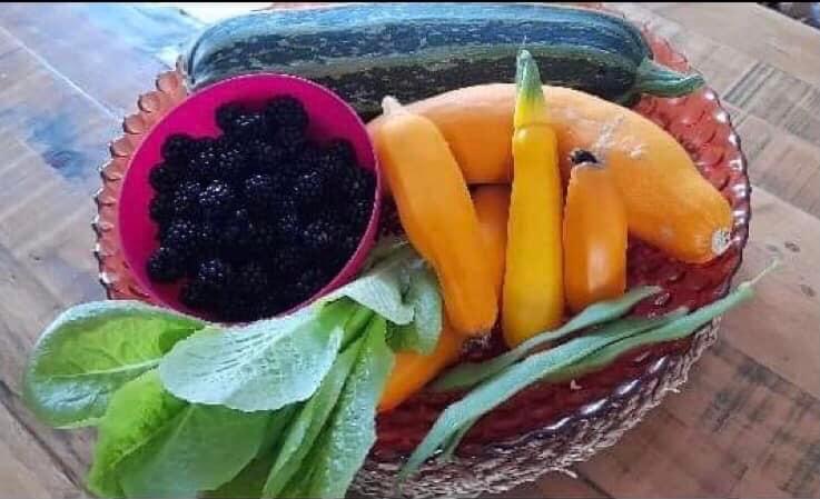Fruit and veg in a basket, grown at Wroxall Primary School
