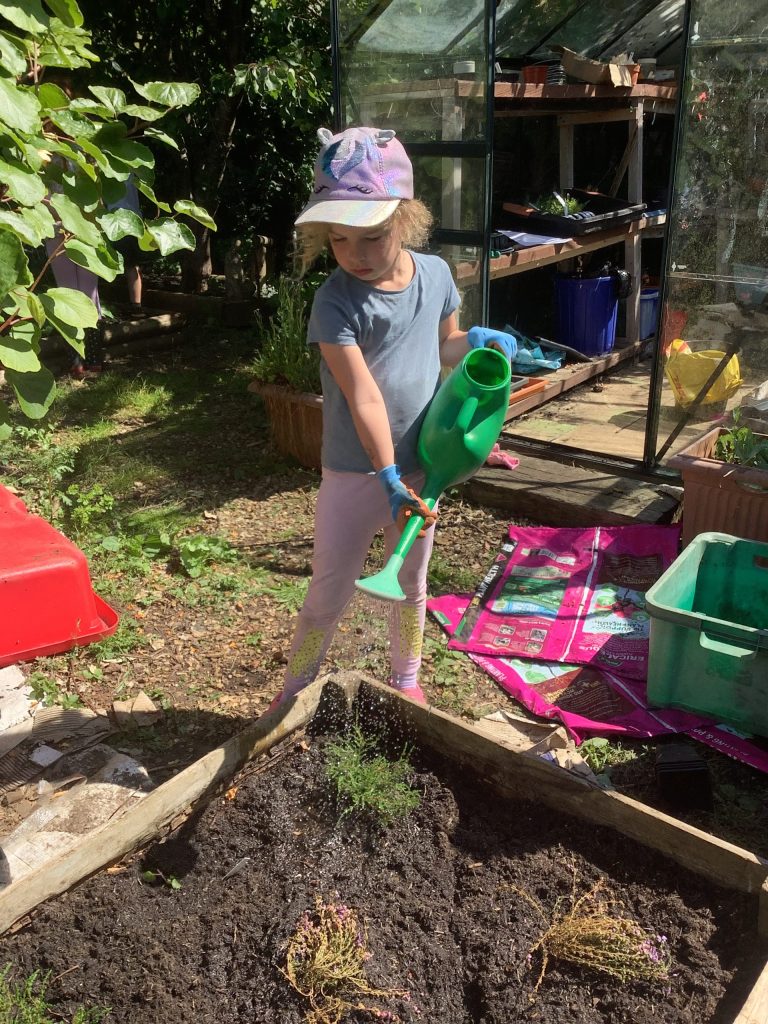 A school pupil watering a raised bed in the garden at a school on the Isle of Wight