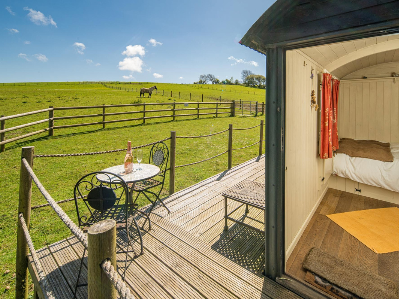 A view from a Shepherd's Hut accommodation showing part of the inside (bed and curtains) and the surrounding fields with a horse