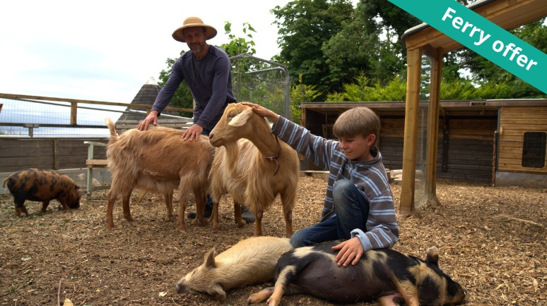 A smiling boy pets a goat and a pig at the Isle of Wight Biosphere Festival
