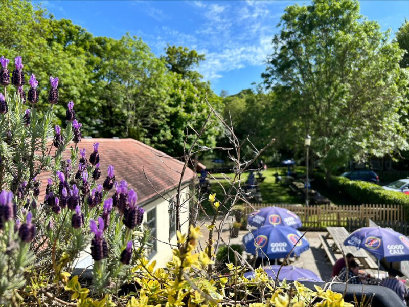 An exterior shot of a pub, taken from above, showing trees, plants and a beer garden below