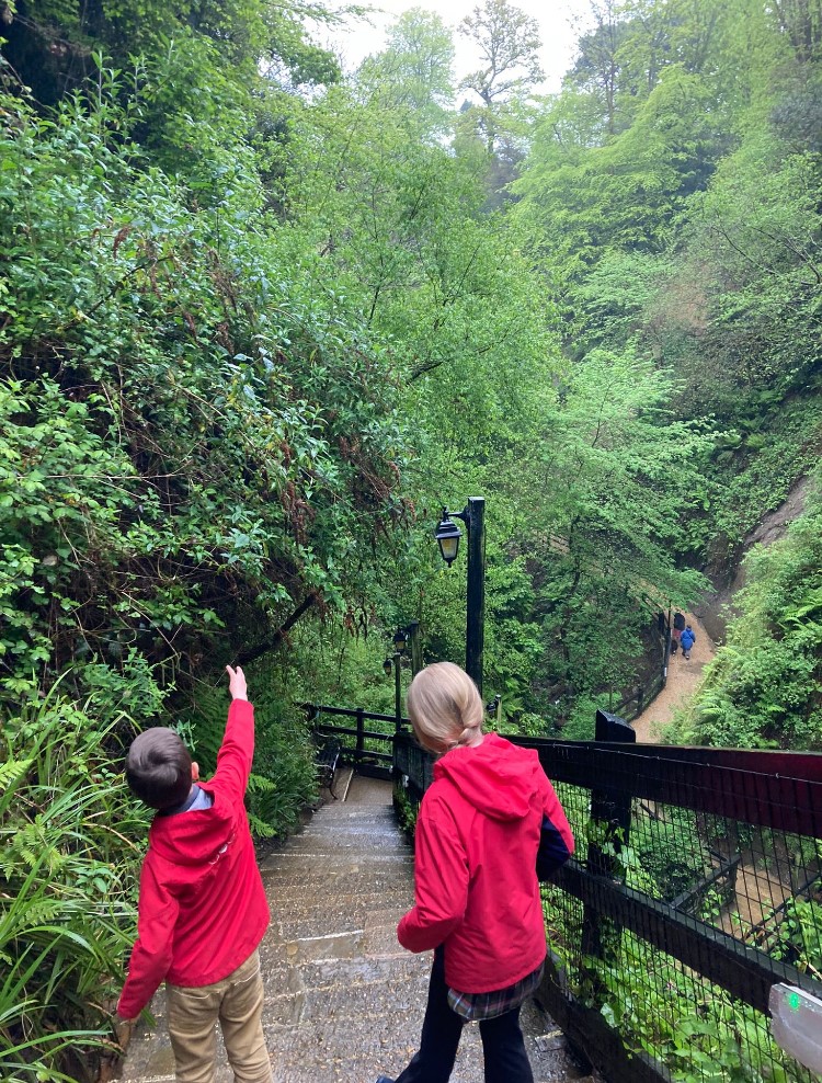 Two children, both wearing red hooded coats, look over a chine