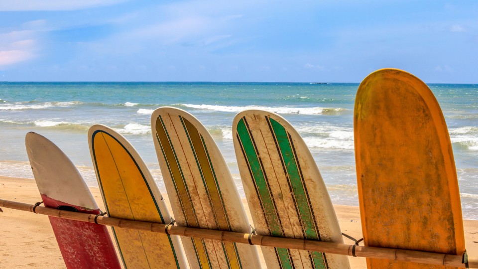Five colourful surfboards lined up on a wooden rack by the beach, with gentle waves and a clear blue sky in the background