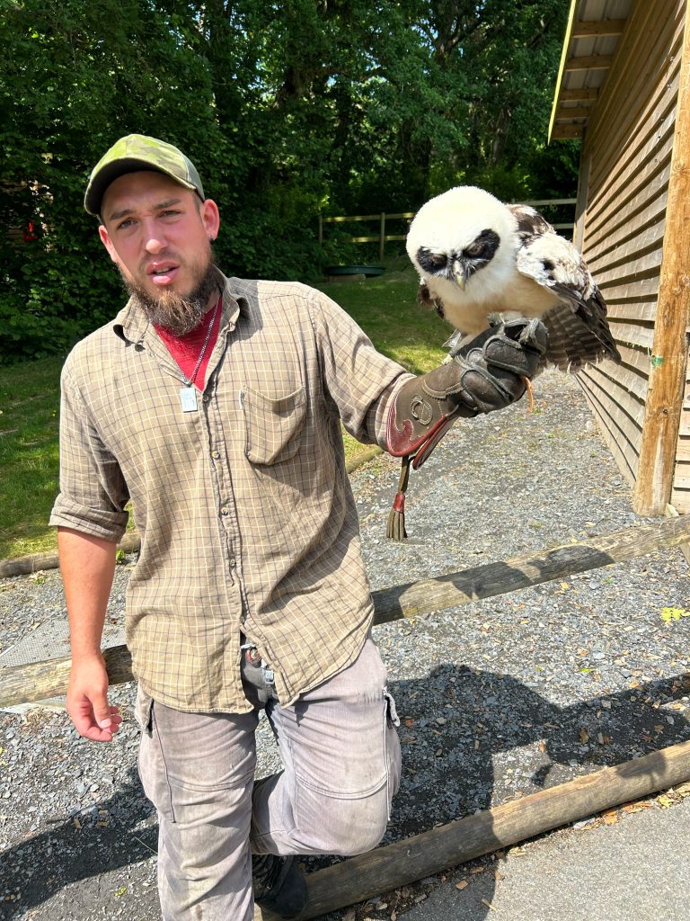 A man holding a bird in a falconry experience