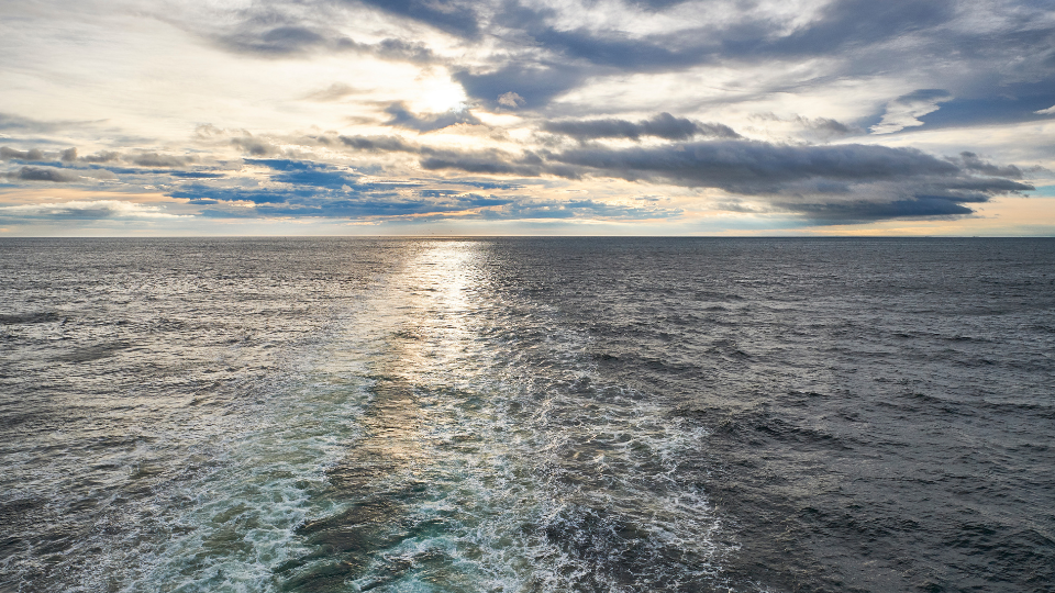 White patterns in the ocean created by a ferry, with the sun rising on the horizon
