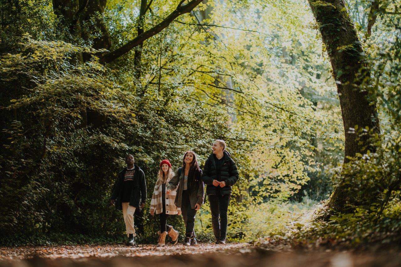 A family walking through woodland in the autumn