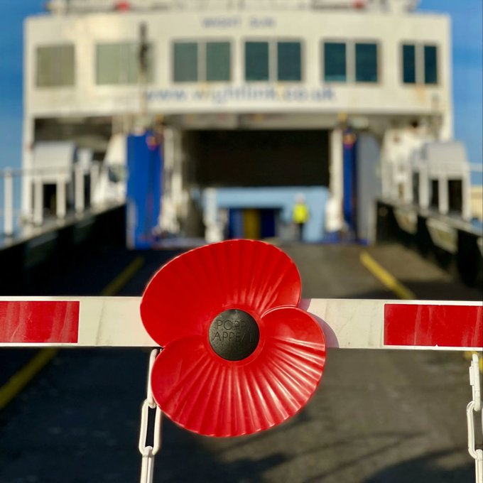 Red poppy on ferry port barrier.