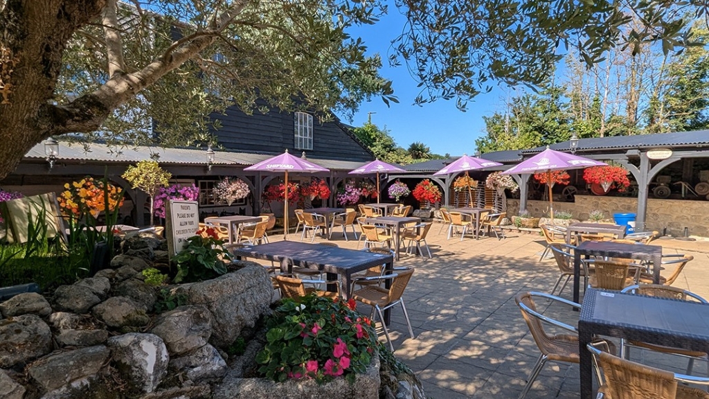Spacious pub courtyard with seating, colourful hanging baskets and parasols under the shade of trees on a sunny day
