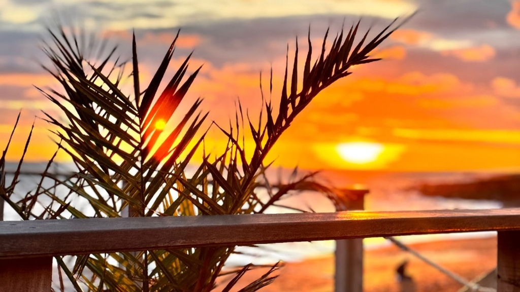 Golden sunset over the ocean viewed through palm fronds from a beachfront bar with warm orange skies.