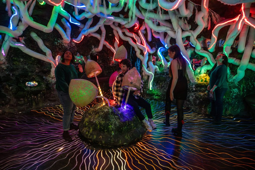 Three people looking at illuminated installations of plants inside a museum or exhibition centre - Photo thanks to Visit Britain / Pinzutu