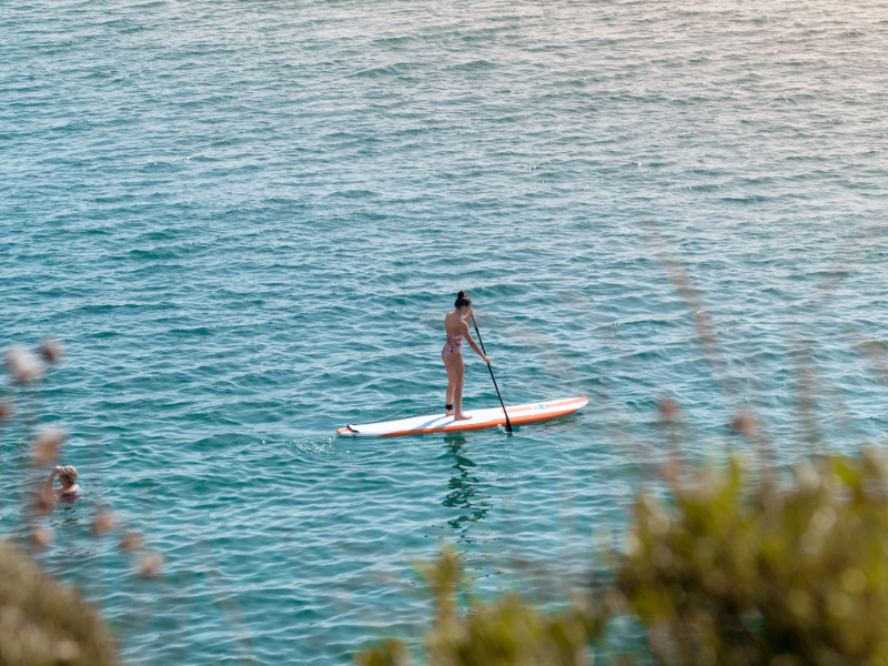 A paddleboarder paddling on the sea with bushes in the foreground