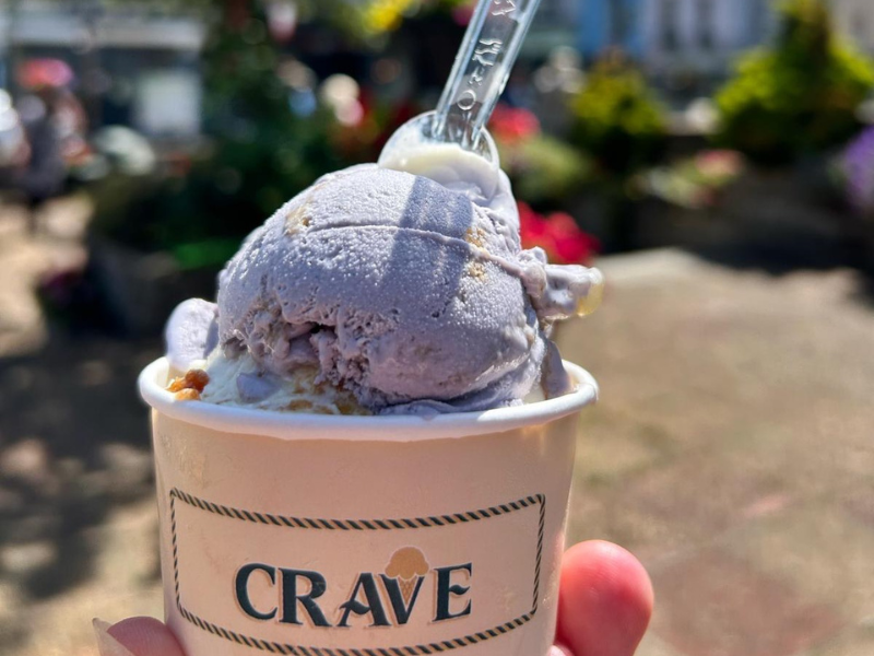 A hand holding a tub of ice cream with 2 scoops, with a spoon sticking out the top, there is a park in the background