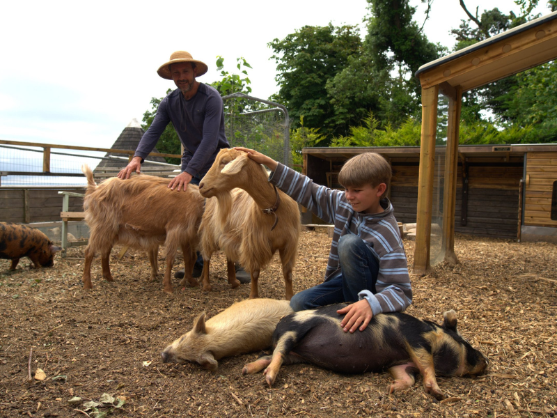 A boy at a farm with fam animals
