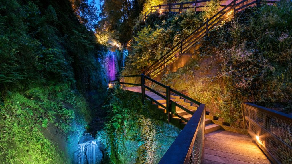 Illuminated walkways wind through the lush greenery of Shanklin Chine, leading towards a cascading waterfall lit with colourful lights.