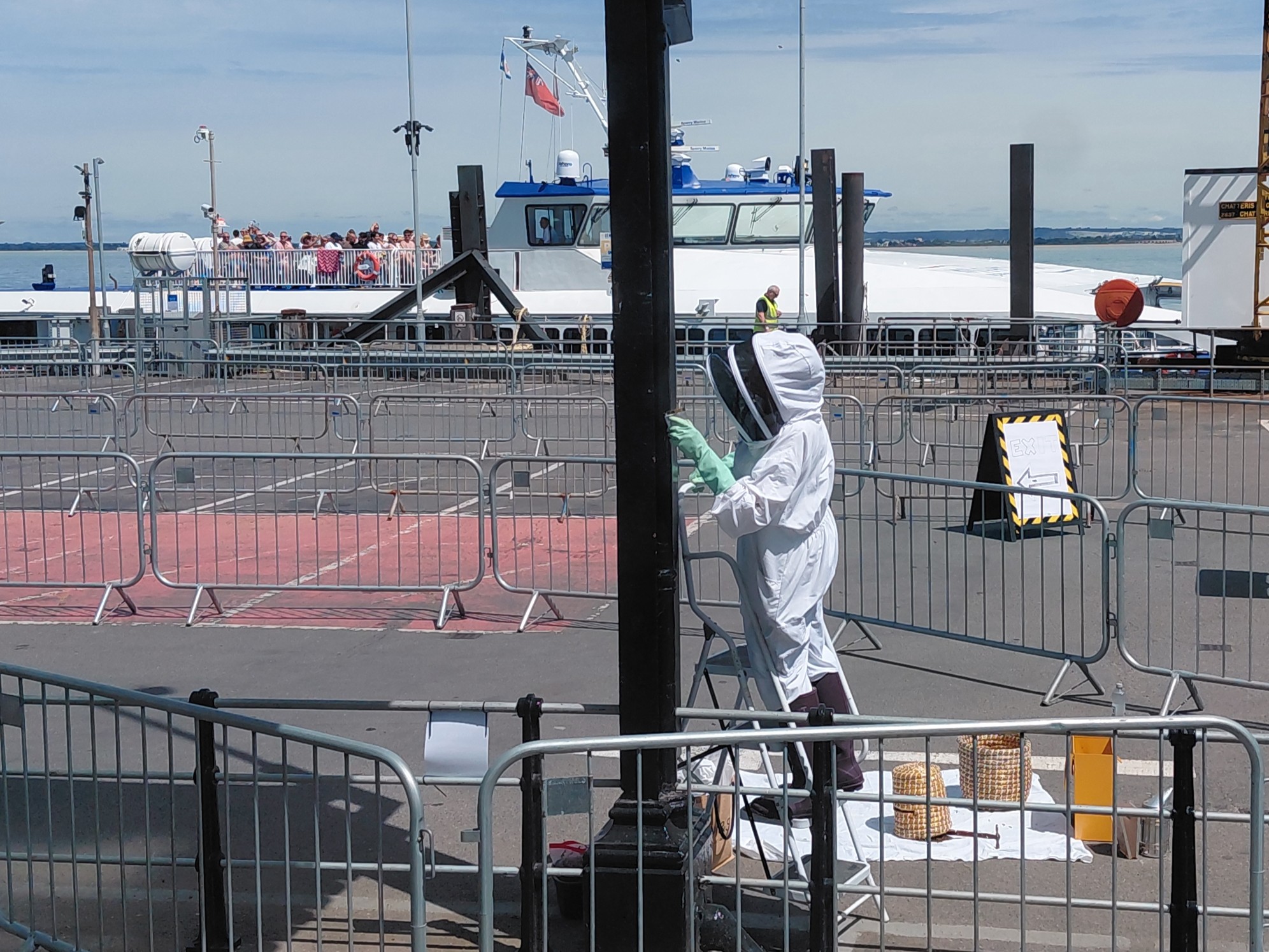 A person in protective beekeeping suit stands on a step ladder collecting bees from a black metal pillar at a fenced-off ferry terminal, with a passenger ferry and onlookers in the background.