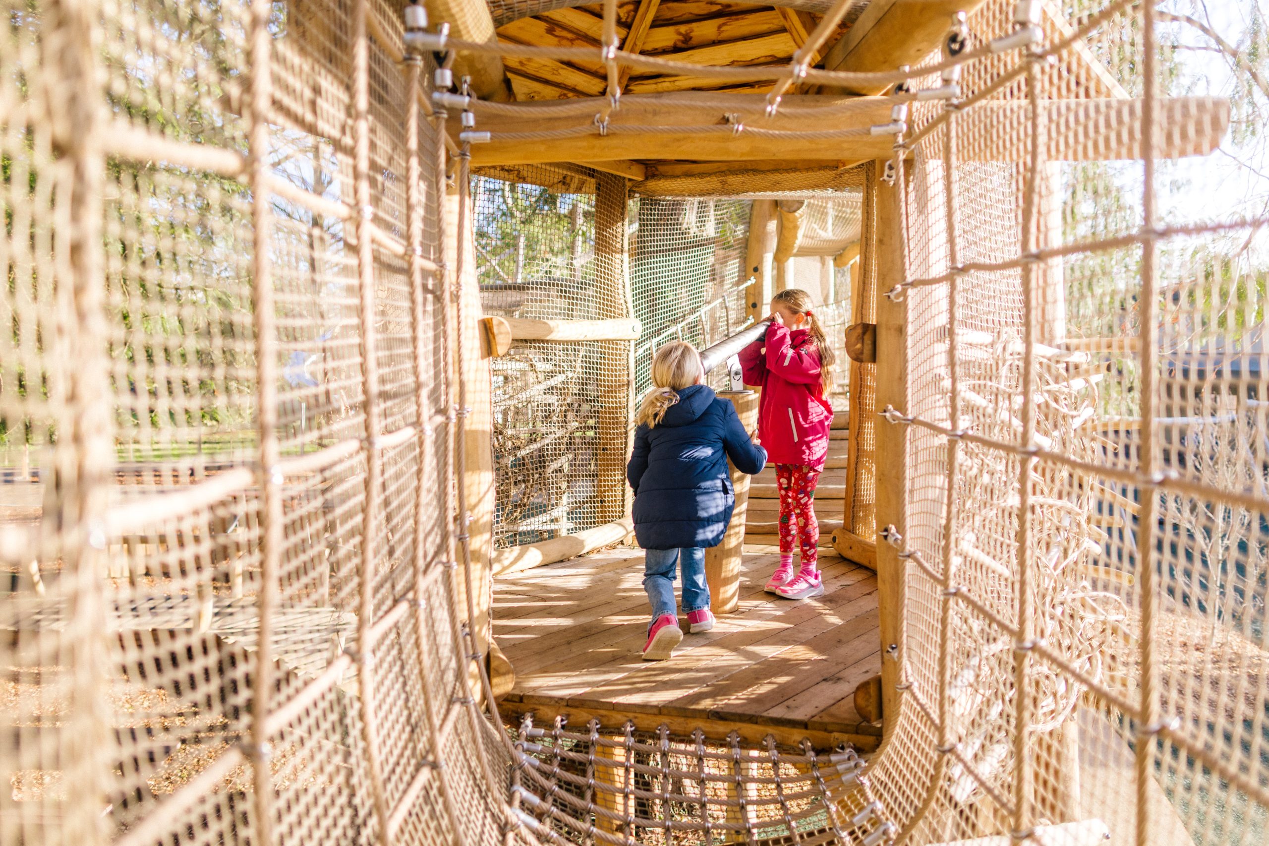 Children exploring a wooden rope bridge and elevated play structure at Birdworld's outdoor adventure playground.