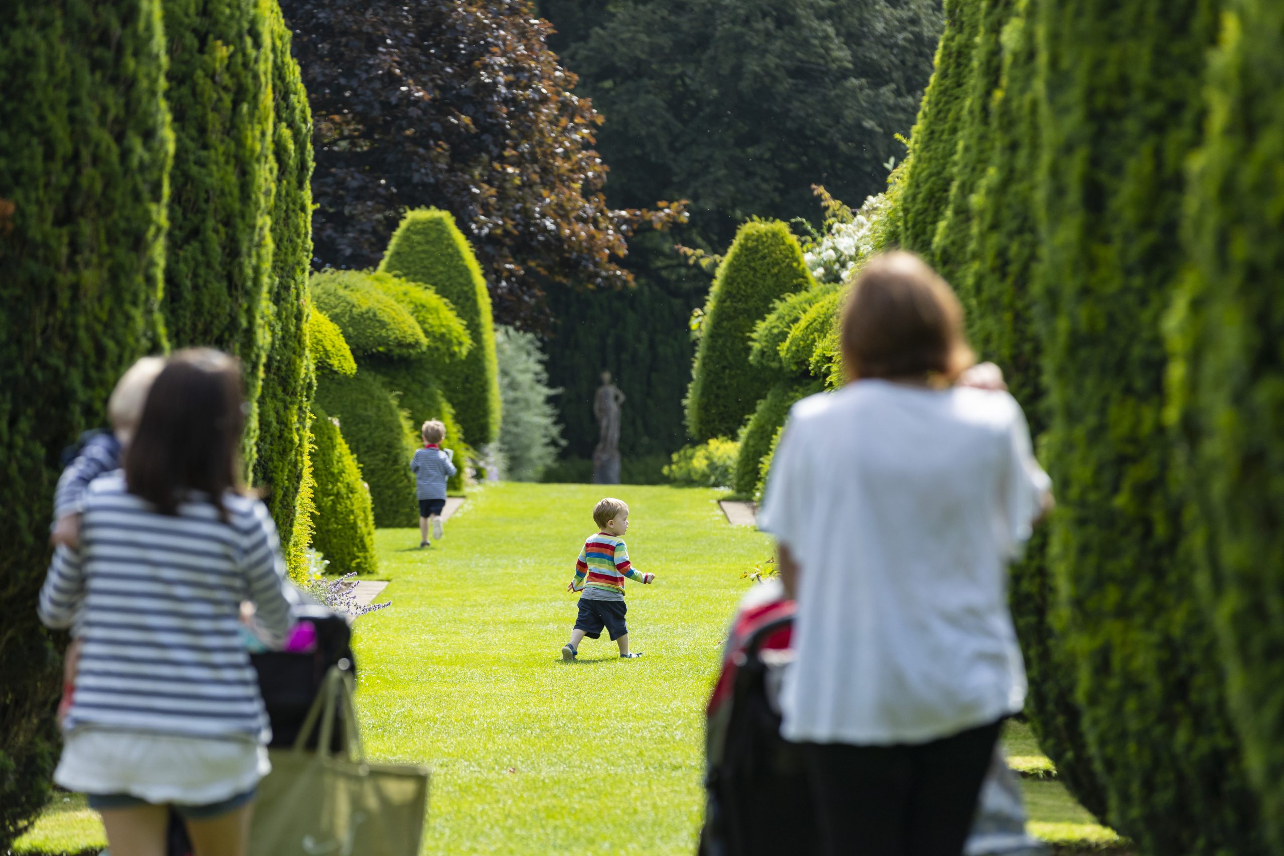 Visitors walking through a formal garden avenue lined with sculpted hedges and mature trees at Hinton Ampner.