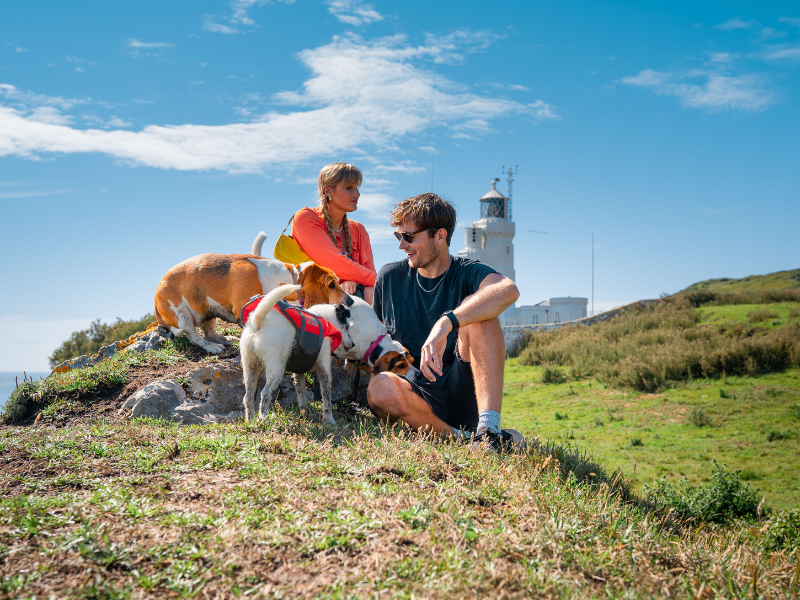 A couple on a hillside on the Isle of Wight with two dogs