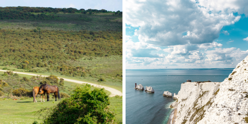Two images side by side in a montage, one of ponies in the countryside of The New Forest, another of The Needles landmark on the Isle of Wight