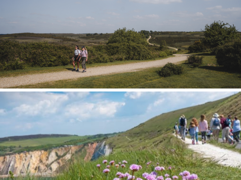 Two landscape photos in a montage, one showing walkers in the heathland of the New Forest and one showign walkers along a cliff path on the Isle of Wight