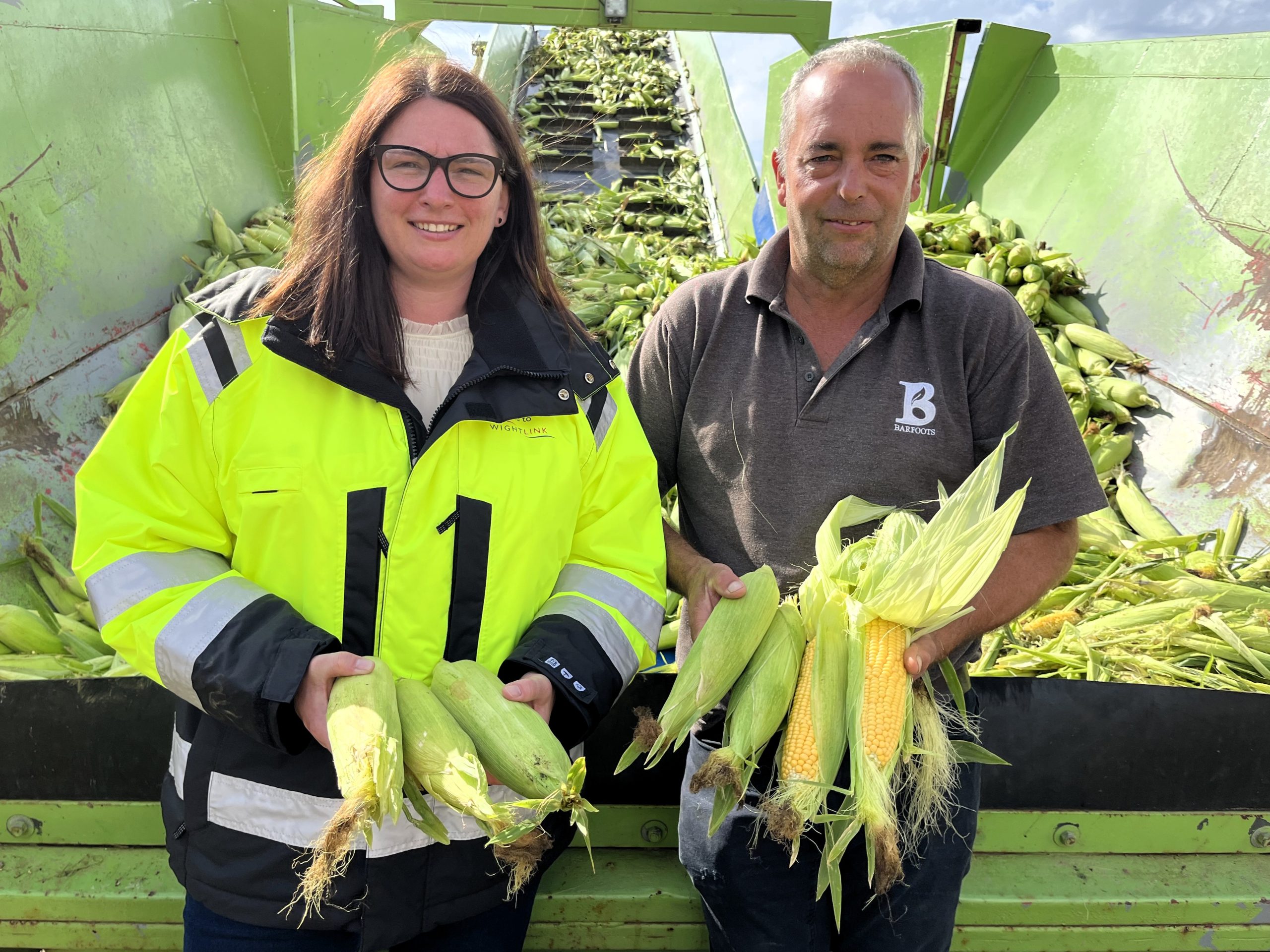 Two people stand in front of a sweetcorn harvesting machine on the Isle of Wight, holding freshly harvested sweetcorn cobs. Piles of sweetcorn can be seen on the conveyor behind them during the 2026 harvest season.
