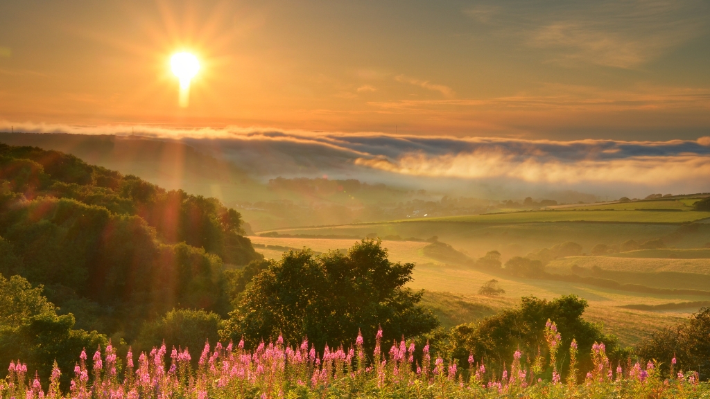 Sunrise over the Isle of Wight countryside, with golden light illuminating rolling hills, low-lying mist and pink wildflowers in the foreground.