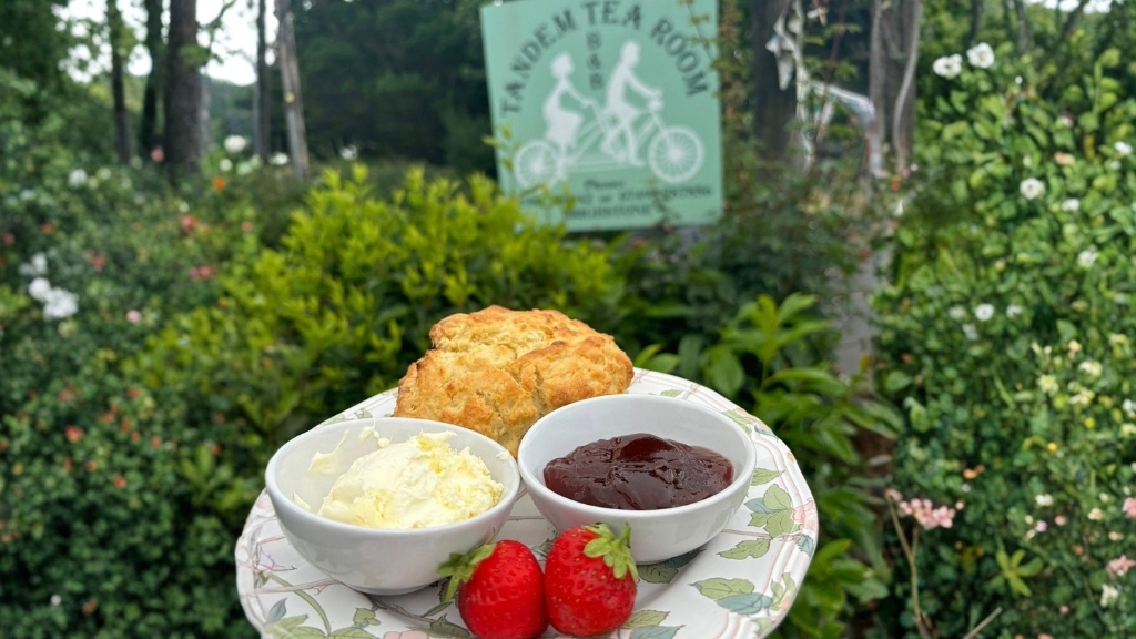 Freshly baked scone served with clotted cream, strawberry jam and fresh strawberries in a garden setting at Tandem Tea Rooms.