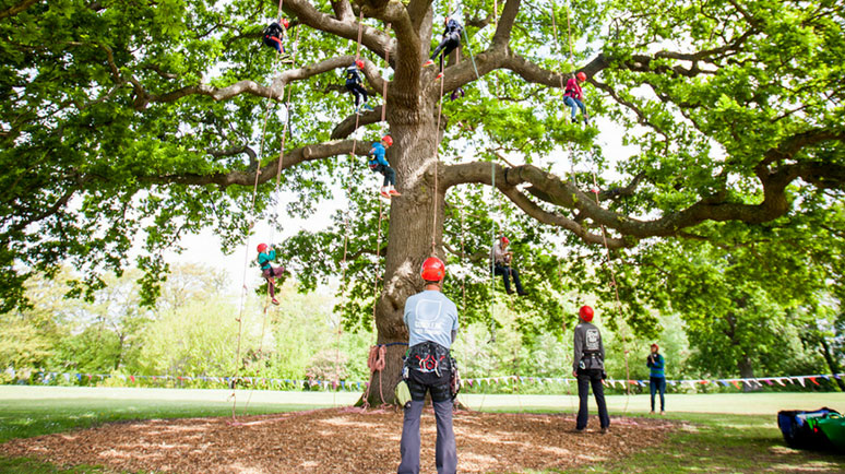 Tree climbers stood next to a tree in Appley, Ryde, Isle of Wight