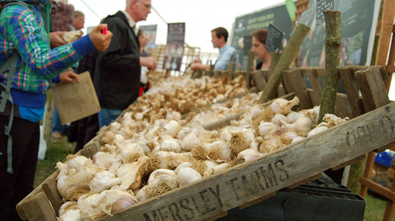 Trays if Isle of Wight Garlic with people shopping at The Isle of Wight Garlic Festival